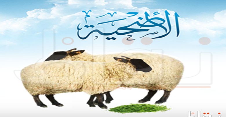أضحية العيد