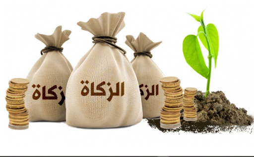 أسئلة وأجوبة في الزكاة